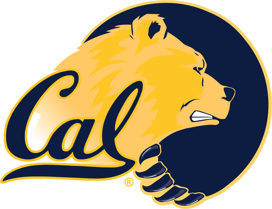 California Golden Bears 1999-2013 Secondary Logo v3 diy iron on heat transfer